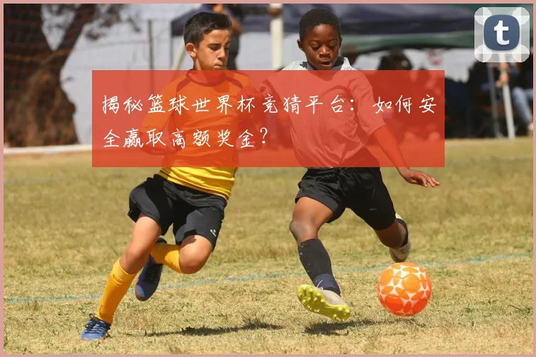 揭秘篮球世界杯竞猜平台：如何安全赢取高额奖金？
