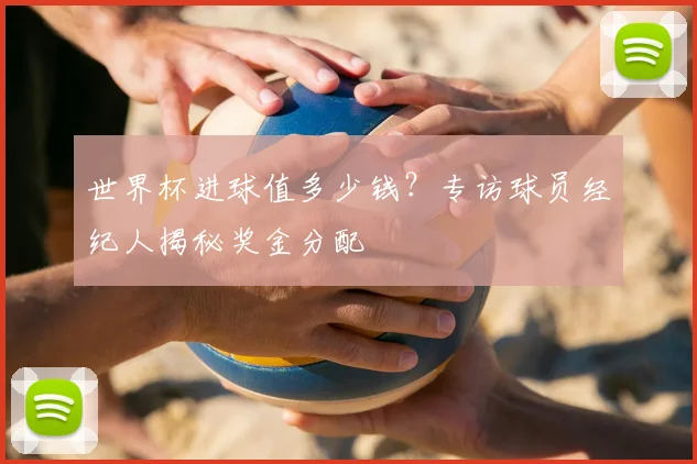 世界杯进球值多少钱？专访球员经纪人揭秘奖金分配