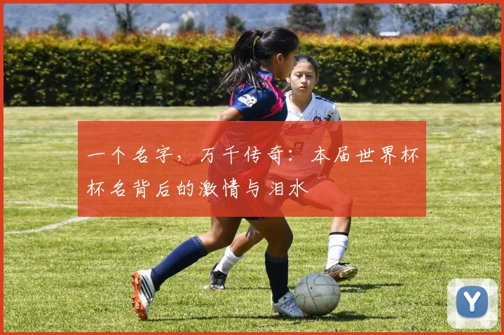 一个名字,万千传奇:本届世界杯杯名背后的激情与泪水