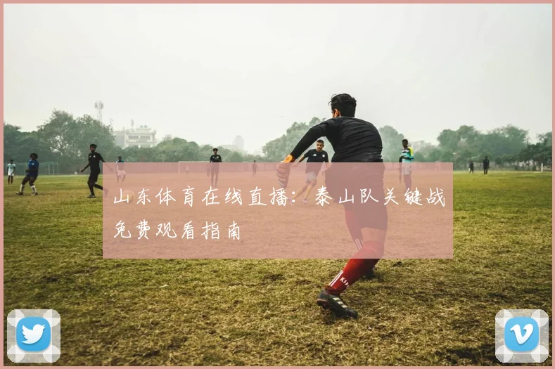 山东体育在线直播：泰山队关键战免费观看指南