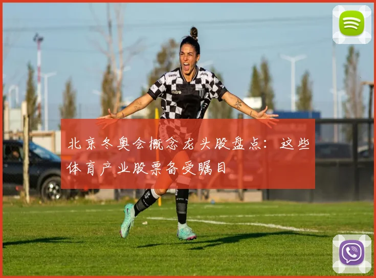 北京冬奥会概念龙头股盘点：这些体育产业股票备受瞩目