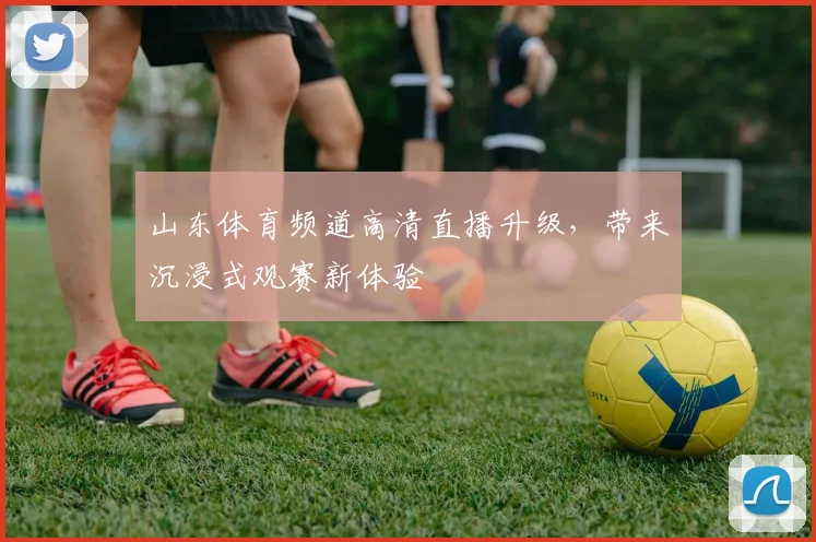 山东体育频道高清直播升级，带来沉浸式观赛新体验